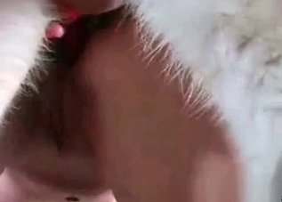 Kinky doggy wants to bang this pervert