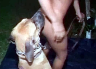 Skinny whore is fucking with a dog