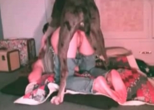 Young zoophile is going mad about her pet