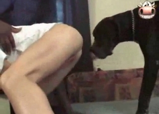 Her cunt is being drilled with her hound's cock