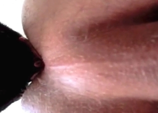 Passionate puppy is licking a pervert's asshole