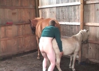 Horny pony is happy to fuck a pervert