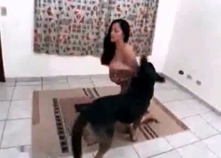 Zoophile is enjoying a hardcore fuck