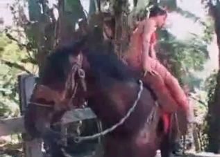 Massive horse is torturing this lady's cunt