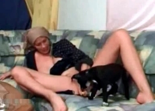 Dirty model is making a puppy give her a cunnilingus