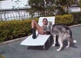 Filthy whore is satisfying her pet wildly