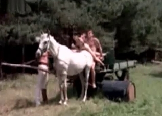 Sensual stallion is banging two perverts