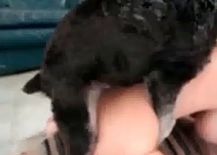 Her twat is being drilled extremely deep by a beast