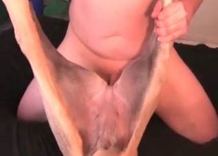 Wild hound gets its asshole penetrated