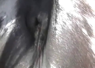 Hot stallion is enjoying a deep anal fuck