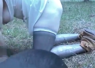 Zoo fuck clip starring a dog
