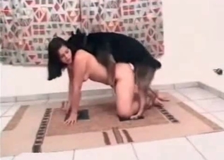 Juicy pervert is having a sex with a hound