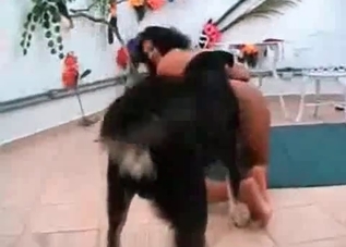 Watch a puppy banging a sweet ebony model