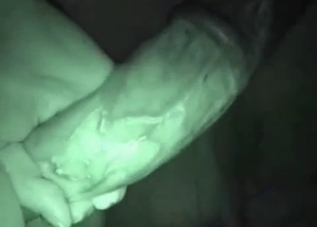 Stallion dick looks insanely massive