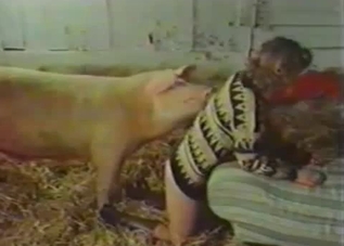 Huge pink hardly fucks a beautiful lady