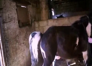 Blonde slowly sucks a soft stallion boner