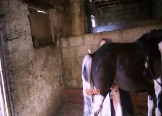 Blonde slowly sucks a soft stallion boner