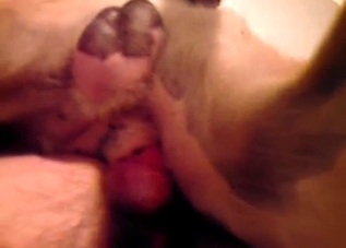 Ass to ass anal fuck with a trained dog