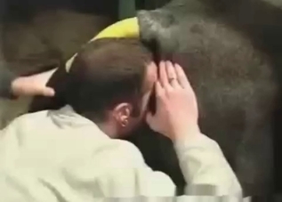 Extreme bestiality in a barn