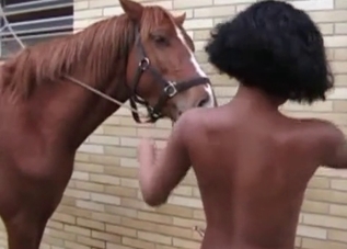 Dark-haired lady is kissing a stallion