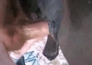 Zoo lover is enjoying a hardcore sex