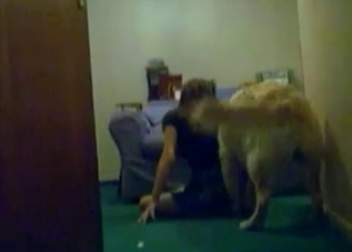 Passionate puppy is getting banged wildly