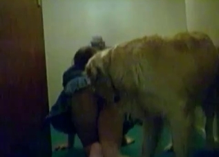 Passionate puppy is getting banged wildly