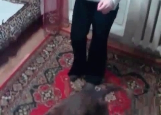 This girl loves having an oral sex with beasts