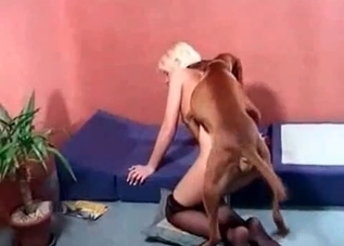 Extremely hardcore fuck with beasts