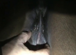 This beast is always ready for a wild fuck