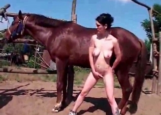 Dark-haired lady with big boobs is fucking with a doggy