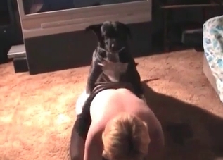 Chubby woman is practicing a zoo sex