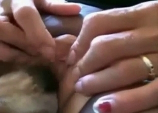 Lustful puppy is giving a cunnilingus on cameras