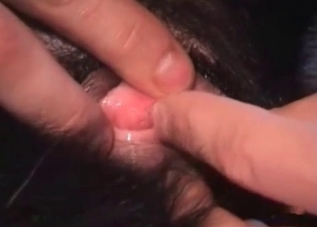 Juicy puppy is giving a wild blowjob