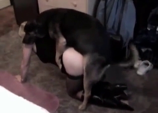 Dirty mutt is banging a zoophile