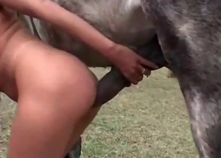 Crazy zoophile is enjoying a sex with a stallion