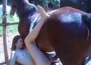 Rough sex with a dirty horse