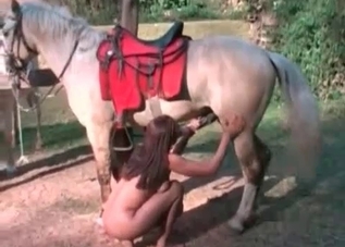 Sweet model is jerking a stallion's dick