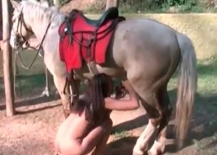 Sweet model is jerking a stallion's dick