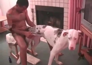Hot puppy gets banged so passionately