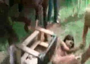Sensational collection of zoo porn clips