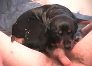 Sensational sex with a puppy