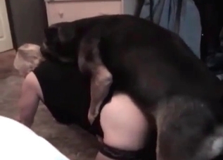 Oral sex with a massive puppy