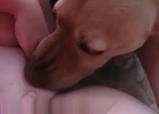 Slut with small boobs is being punished by her puppy