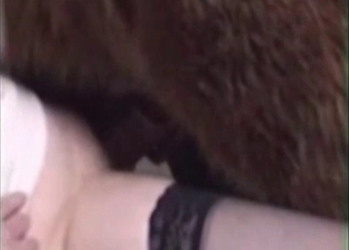 Small stallion is satisfying a slut wearing stockings