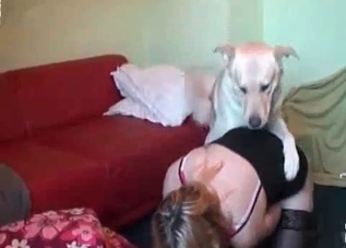 Rough ass fucking session with a hound