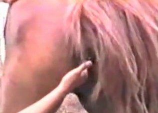 Rough fingering is what this stallion wants