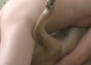 Kinky hound wants to feel an orgasm