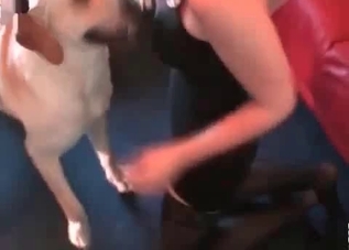 Dirty hound is punishing a chick