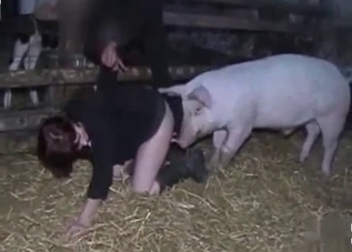 Chubby pig is pleasing a pervert